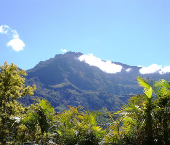 Doussy - Location de voiture - Montagne de La Réunion